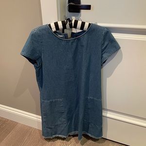 ZARA denim t shirt mini dress